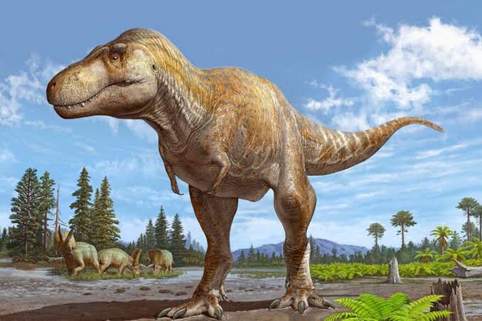 Bringing Back the King: Why the Tyrannosaurus Rex Deserves a Second&nbsp;Chance